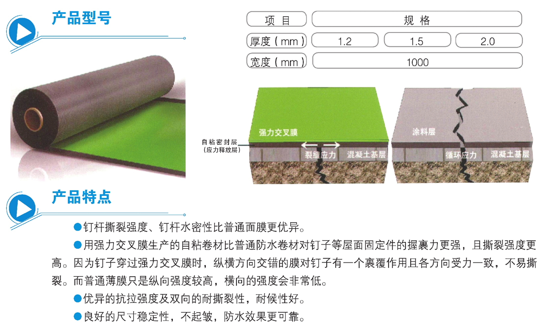 快速反应粘强力交叉膜自粘防水卷材(图1) 快速反应粘强力交叉膜自粘防水卷材(图1)